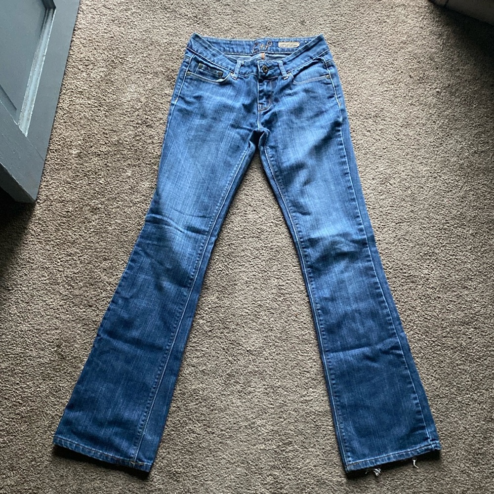 Chip & Pepper Jeans - 1